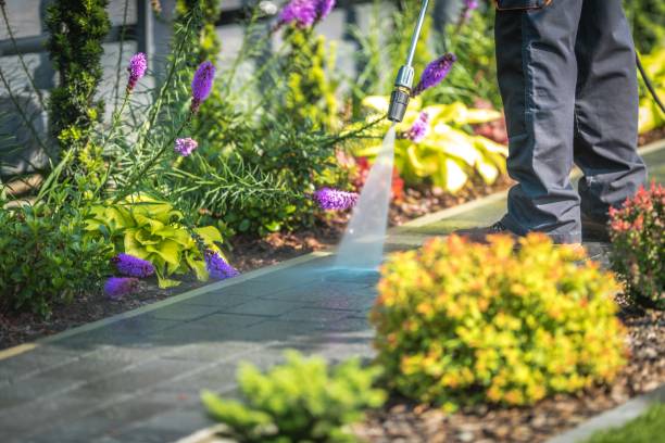 Best Boat and Dock Cleaning  in Payson, IL