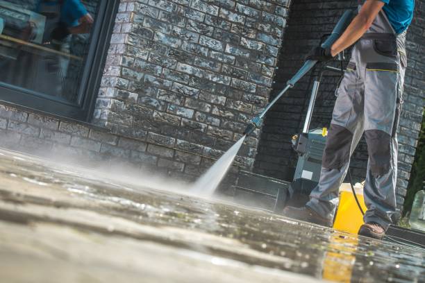 Best House Exterior Washing  in Payson, IL